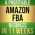 MONEY SHIPPING: How To Start A Profitable Amazon FBA Business In 11 Weeks: Optimize Your Profits and Go From Side Hustle to Passive Income With Minimal Effort (MONEY MAKING SERIES)